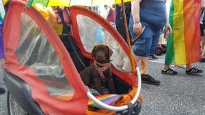 Aarhus, Gay Pride - 20160604 122528