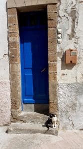 20160926_120619 - 20160926 120619