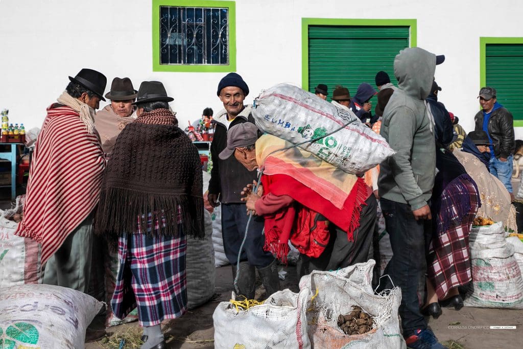 ECUADOR, Zumbawa - W9A6A9850
