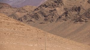 img_1469 - IMG 1469