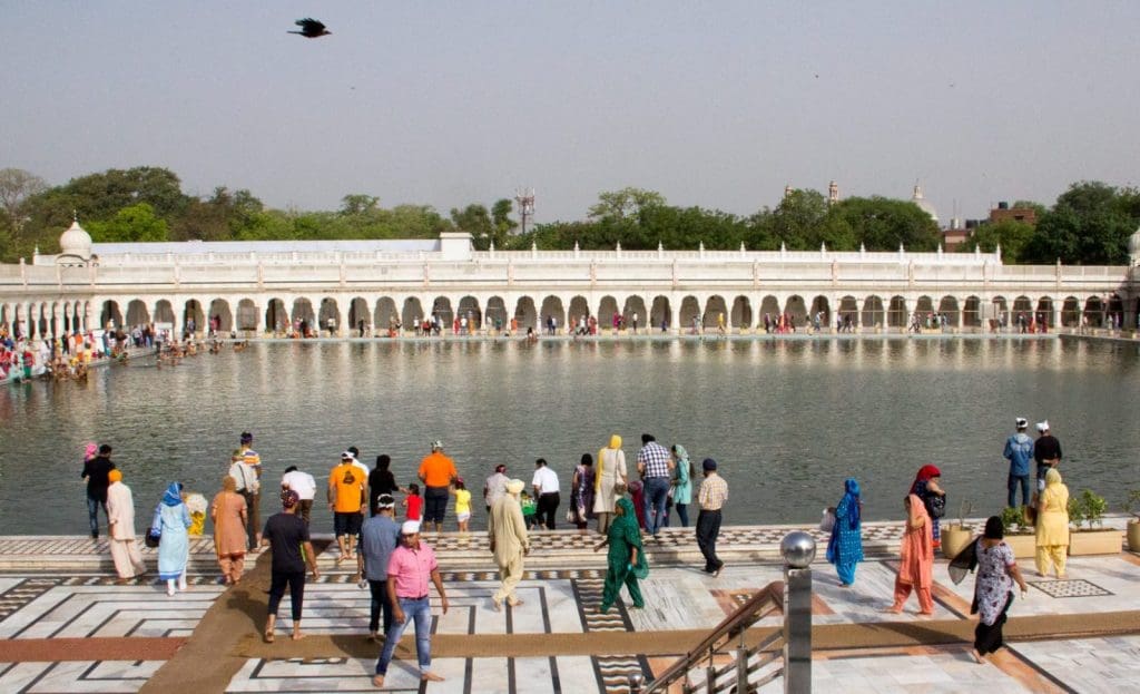 Delhi, l'alba dei morti viventi - web3898 e1494581177503