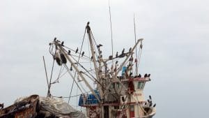 porto di pescatori a Paracas