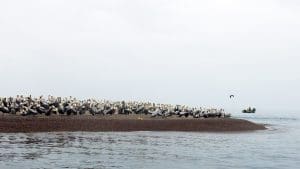 Islas Ballestas
