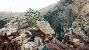 Islas Ballestas