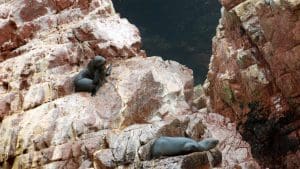 Islas Ballestas