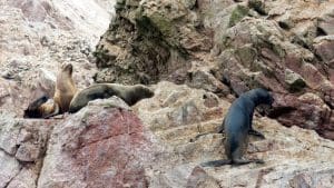 Islas Ballestas