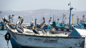 Porto di Paracas