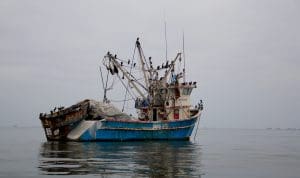 Porto di Paracas