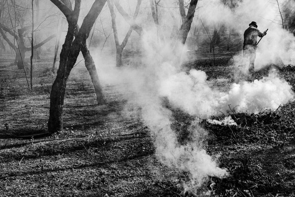 LAURUM. Transizioni e resistenze di una antica città italiana - DSC05260 copia 2 1
